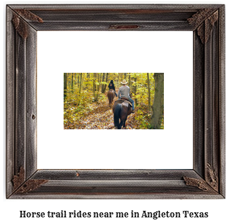 horse trail rides near me in Angleton, Texas